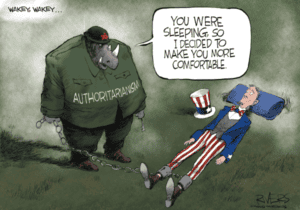 separation of powers cartoon